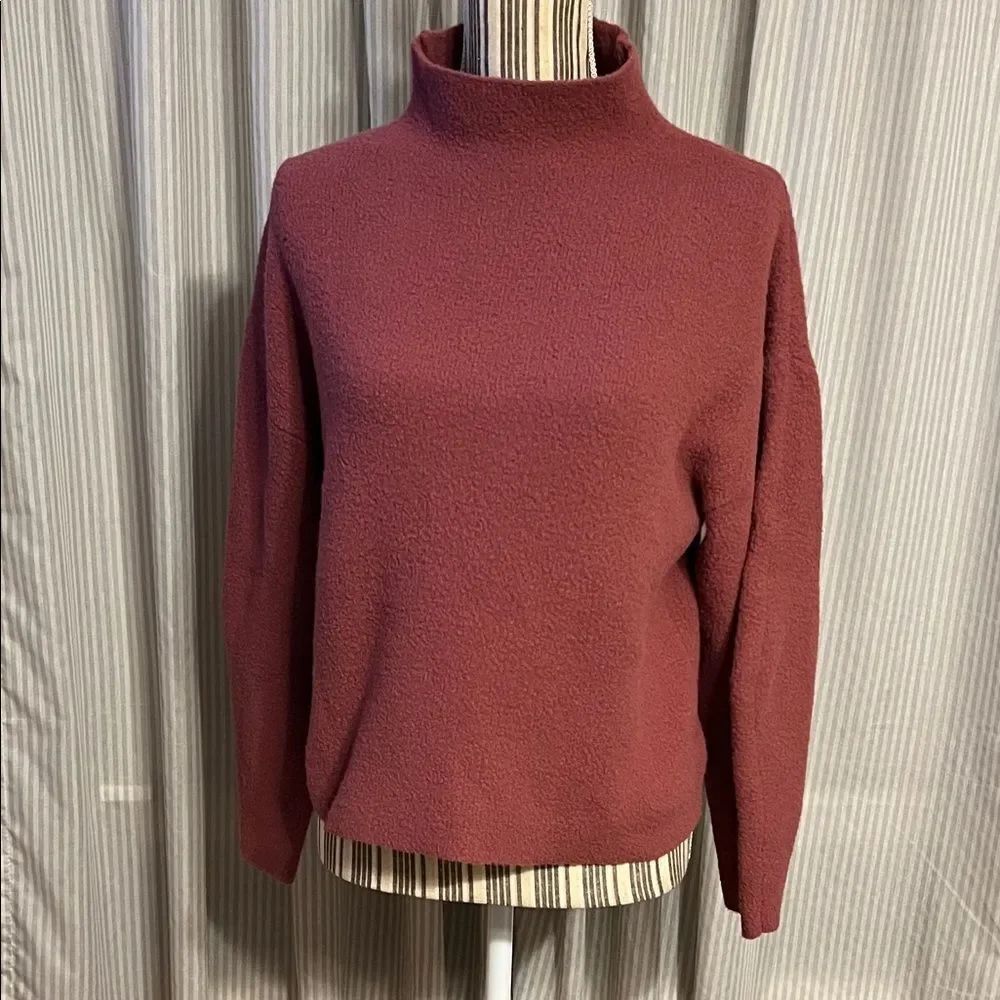 Express Women's Burgundy Sweater